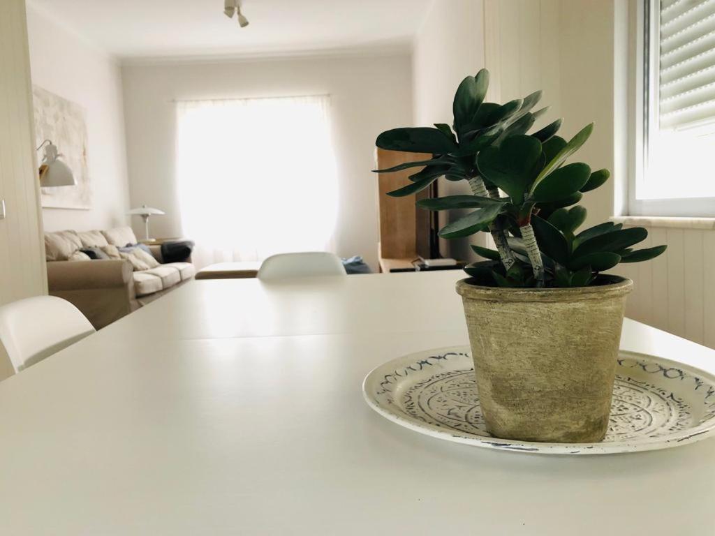 Apartamento espaçoso e confortável no centro do Montijo Exterior foto